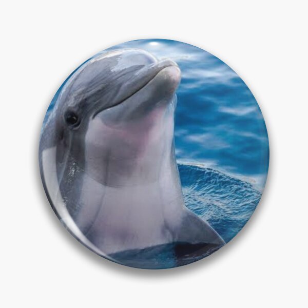 Item preview, dolphin sticker  designed and sold by Sunshine 24.