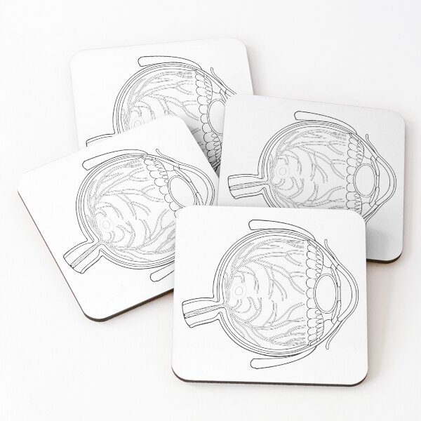 Item preview, Line Drawing of Human Eye Anatomy designed and sold by taylorcustom.