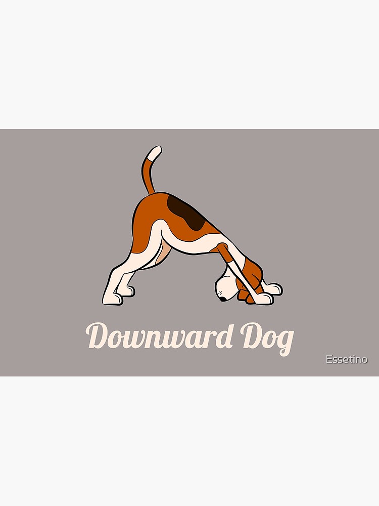 down dog yoga app for mac