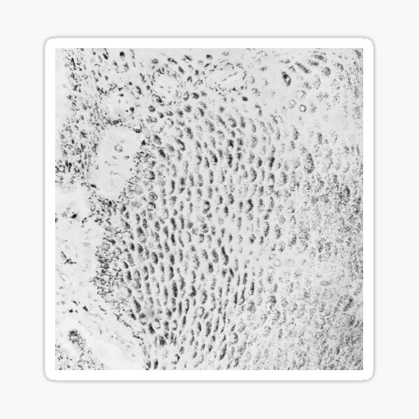 Item preview, Sand waves 2 (Fontana Masson special stain) skin designed and sold by CellPathWorld.