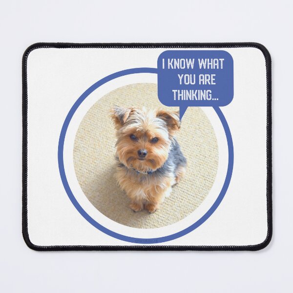 Item preview, Cute Fluffy Yorkie Looking Up and Saying, "I Know What You're Thinking" - Yorkshire Terrier Meme - Navy Blue designed and sold by Yorkie  Love.