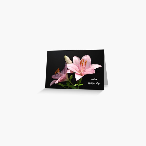 Item preview, Sympathy Card: Pink Lilies designed and sold by Kathleen Brant.