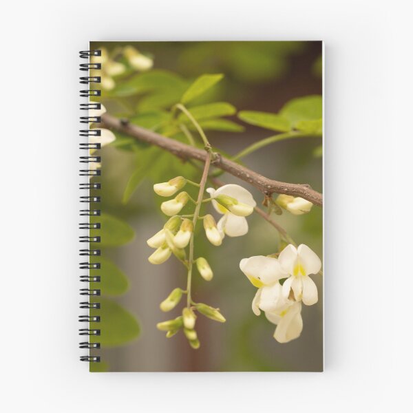 Item preview, Black Locust designed and sold by Mass Monumentalist.
