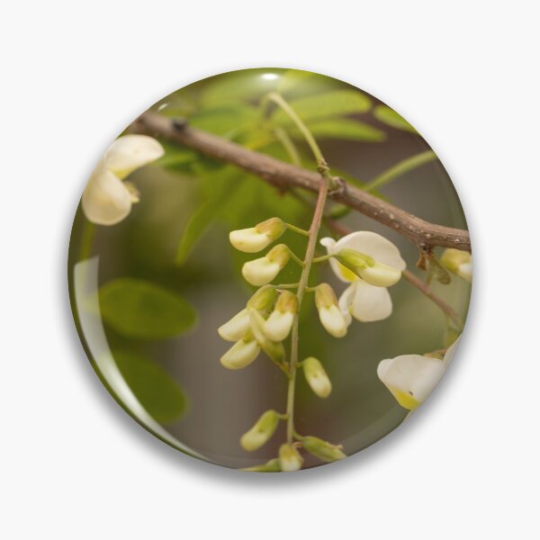 Item preview, Black Locust designed and sold by Mass Monumentalist.