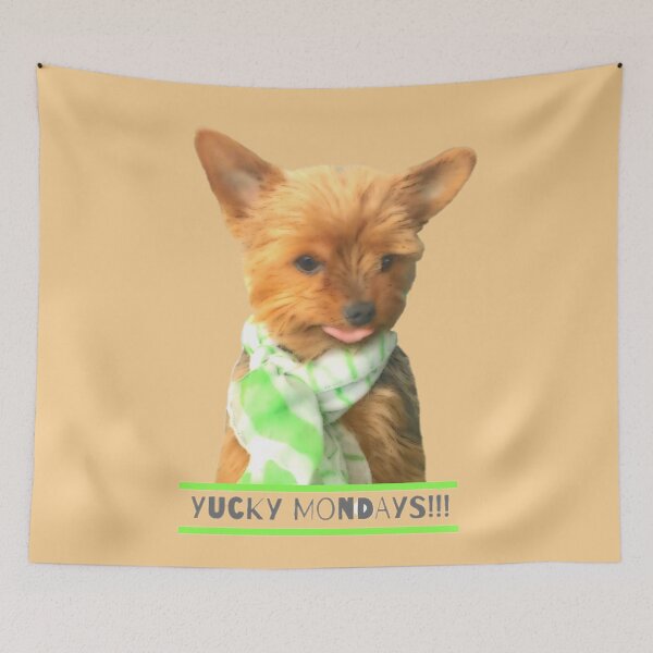 Item preview, Cute Yorkie Meme - Yucky Mondays  - Adorable Yorkshire Terrier Dog Sticking Tongue Out -  designed and sold by Yorkie  Love.