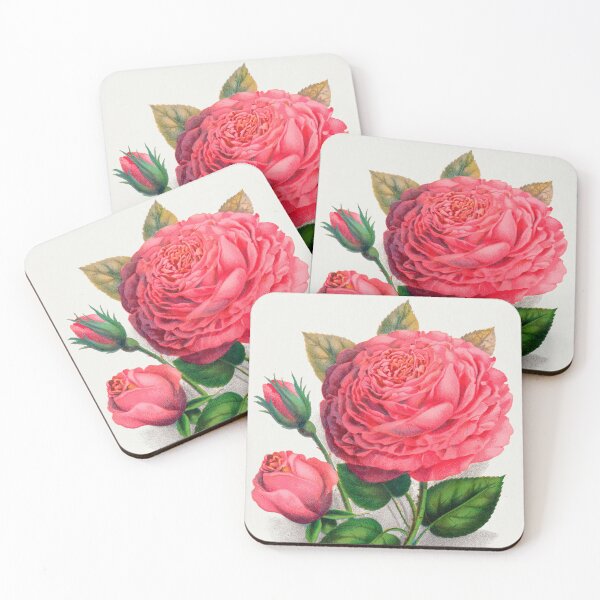 Item preview, Vintage Pink Rose lithograph by Anna De Diesbach  designed and sold by PureVintageLove.