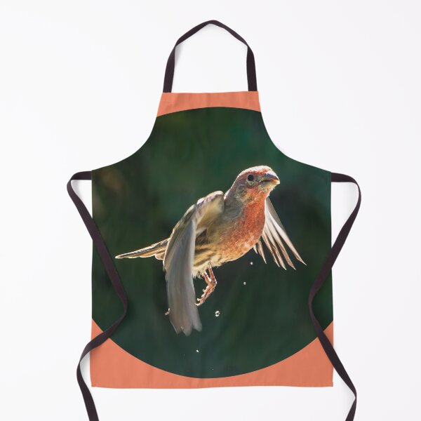 Item preview, Male House Finch Dripping Water designed and sold by CarolM.