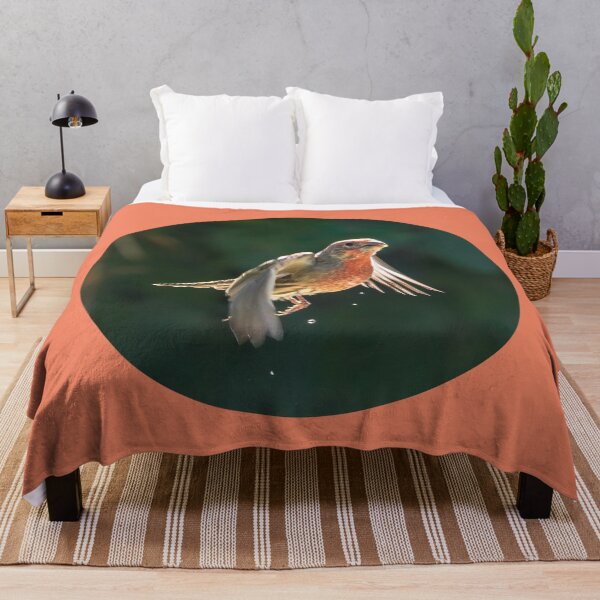 Item preview, Male House Finch Dripping Water designed and sold by CarolM.