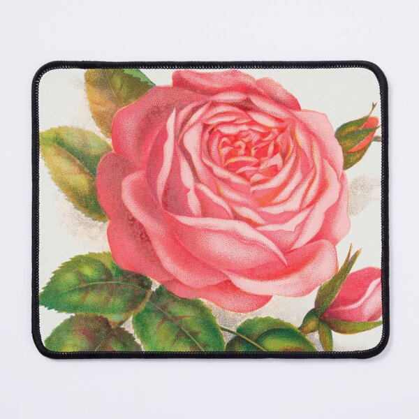 Item preview, Vintage Pink Rose La Reine lithograph designed and sold by PureVintageLove.
