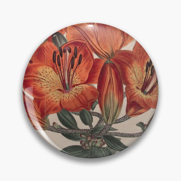 Item preview, Vintage Botanical Red Lily Illustration – 1807 Floral Engraving designed and sold by weirdfishes123.