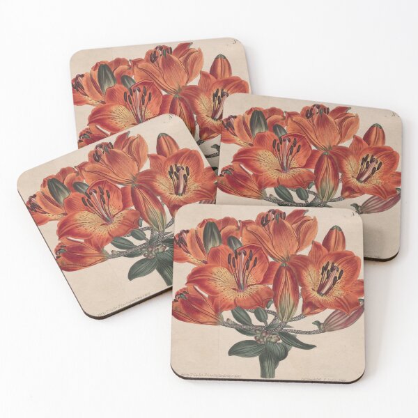 Item preview, Vintage Botanical Red Lily Illustration – 1807 Floral Engraving designed and sold by weirdfishes123.