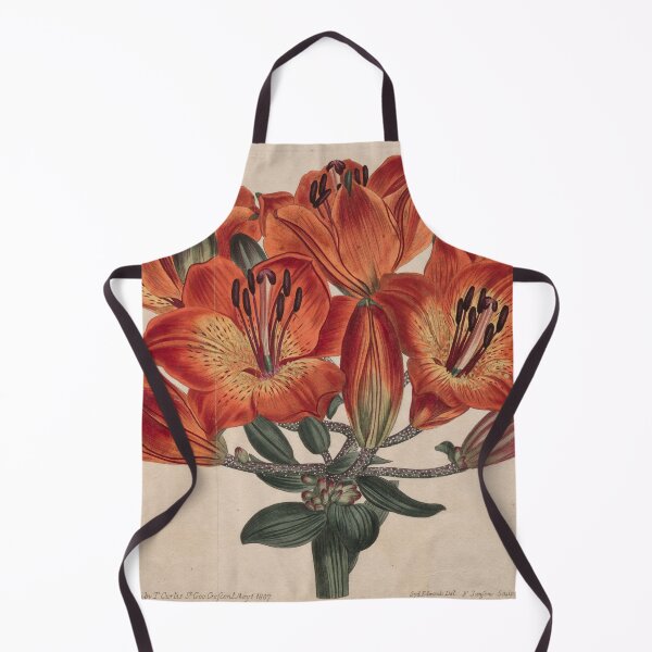 Item preview, Vintage Botanical Red Lily Illustration – 1807 Floral Engraving designed and sold by weirdfishes123.