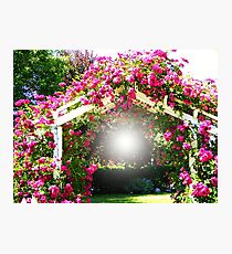 Delightful Archway Photographic Print