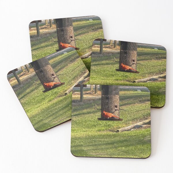 Item preview, American Cardinal designed and sold by Craig Kauzmann.