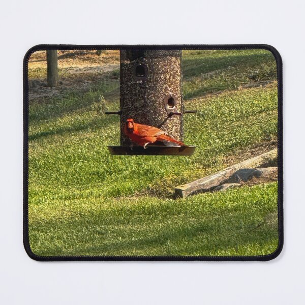 Item preview, American Cardinal designed and sold by Craig Kauzmann.