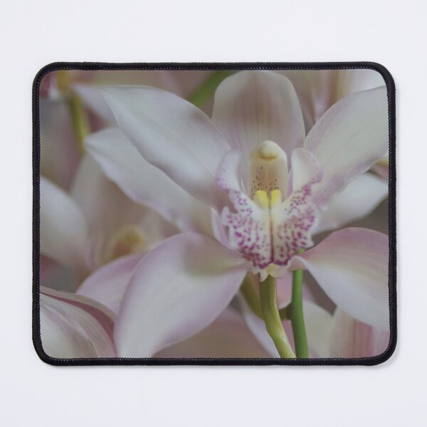Item preview, Orchid Flower Stylish Image designed and sold by Gotcha29.