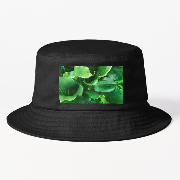 Item preview, Storybook-Style Lush Lavish Elegant Leaves designed and sold by DEC02.