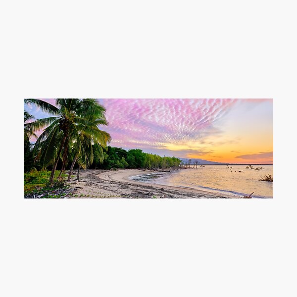 Item preview, Toomulla Beach Townsville QLD Palms Sunset Paradise designed and sold by Adam Gormley.
