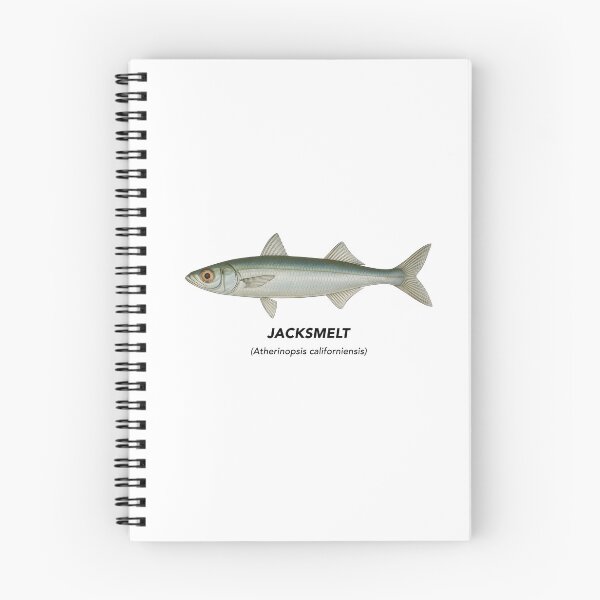 Item preview, Jacksmelt – Marine Animals of California designed and sold by CaliforniaVibe.