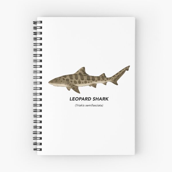 Item preview, Leopard Shark – Marine Animals of California designed and sold by CaliforniaVibe.
