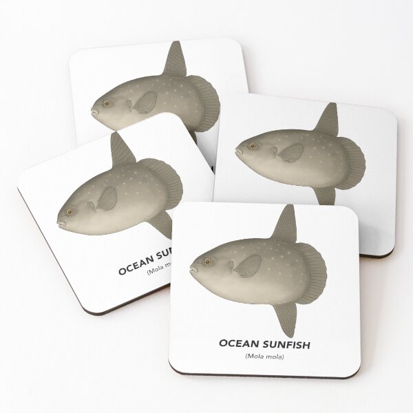 Item preview, Ocean Sunfish– Marine Animals of California designed and sold by CaliforniaVibe.
