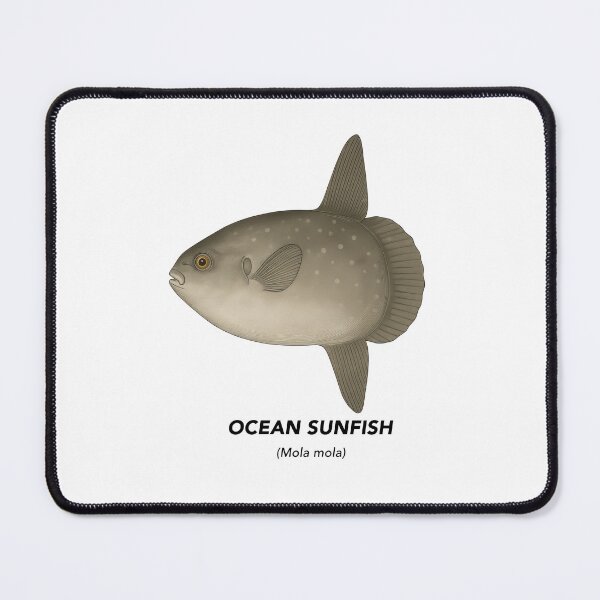 Item preview, Ocean Sunfish– Marine Animals of California designed and sold by CaliforniaVibe.
