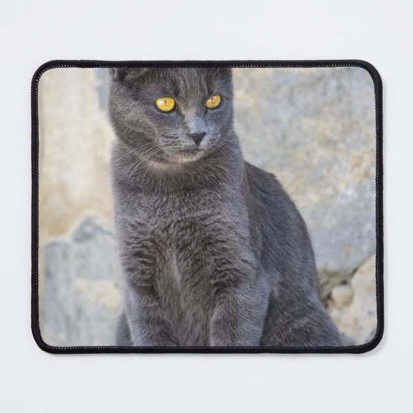 Item preview, Cat designed and sold by vekotpu.