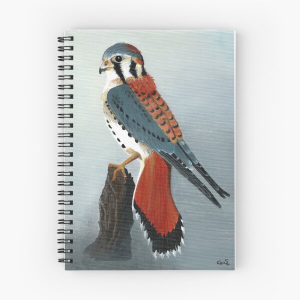 Item preview, American Kestrel perched on a branch designed and sold by PinturasCristi.
