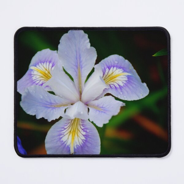 Item preview, Purple  designed and sold by D-GaP.