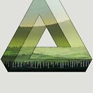 Take Me To The Other Side - Impossible Geometry and Nature by Denis Marsili