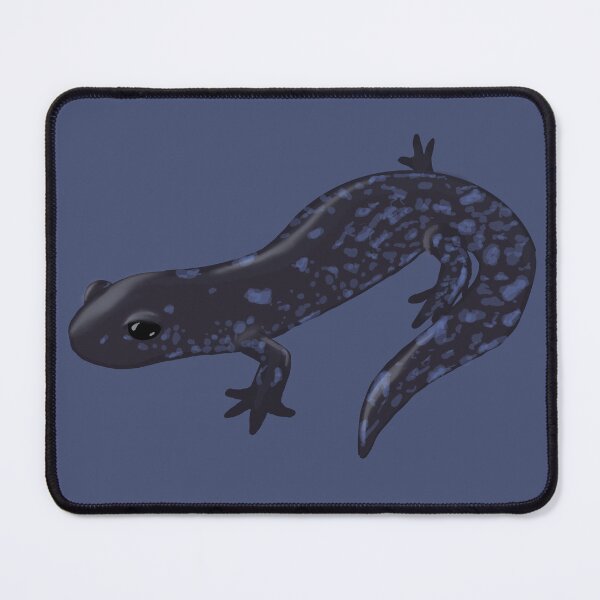 Item preview, Blue-Spotted Salamander  designed and sold by griffinart.