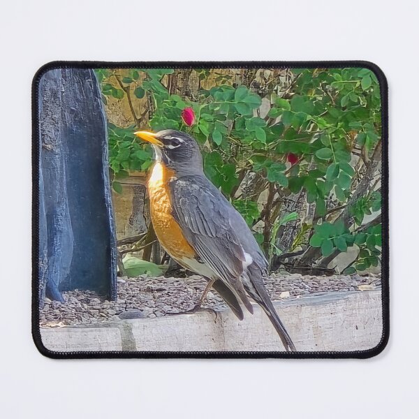 Item preview, Golden robin designed and sold by Shoppinmammaj.