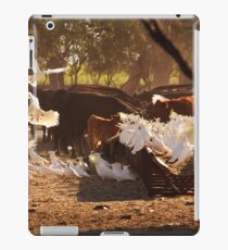 Cattle & Cockatoos in the Australian Bush iPad Case/Skin