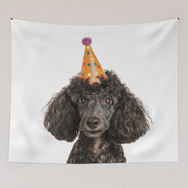Item preview, Cute Poodle dog with Party Hat Birthday Celebration designed and sold by LazyOwlStore.
