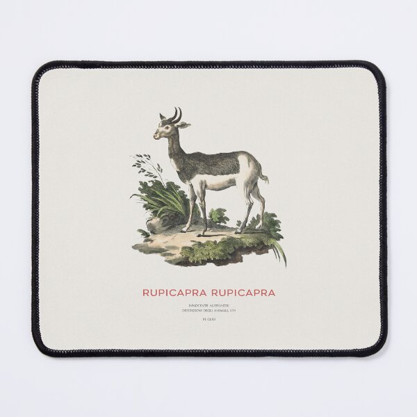 Item preview, Alpine chamois designed and sold by Vintagrafica.