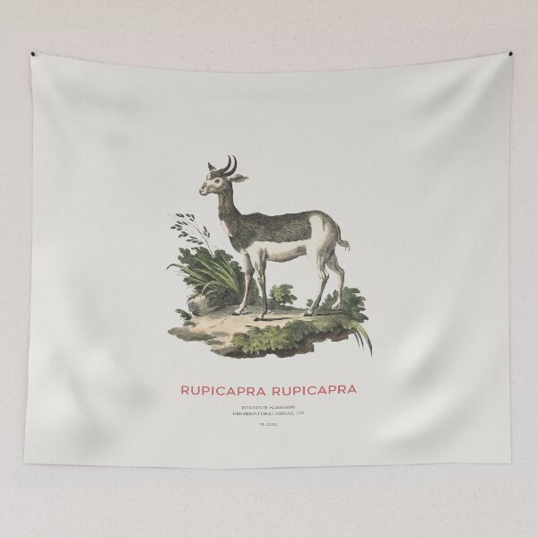 Item preview, Alpine chamois designed and sold by Vintagrafica.