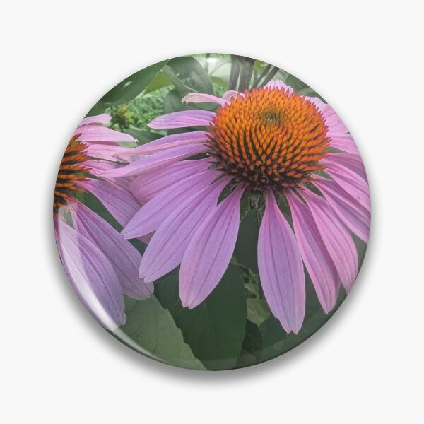 Item preview, Two Purple Echinacea Flowers designed and sold by InnaEvans.