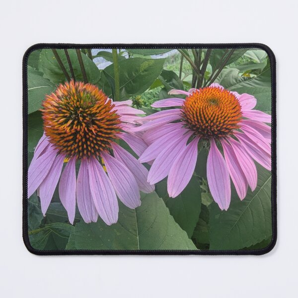 Item preview, Two Purple Echinacea Flowers designed and sold by InnaEvans.