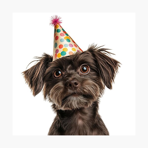 Item preview, Cute Russian Toy dog with Party Hat Birthday Celebration designed and sold by LazyOwlStore.