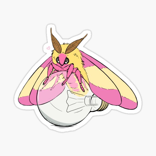 Rosy Maple Moth and Lightbulb Sticker