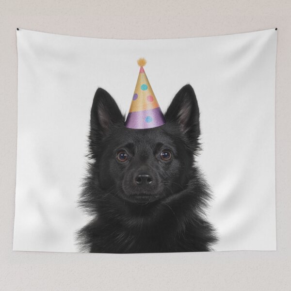Item preview, Cute Schipperke dog with Party Hat Birthday Celebration designed and sold by LazyOwlStore.