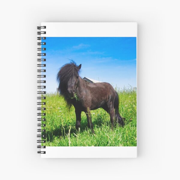 Aperçu de l'œuvre Étalon noir, un cheval miniature créée et vendue par colorfulbundles.