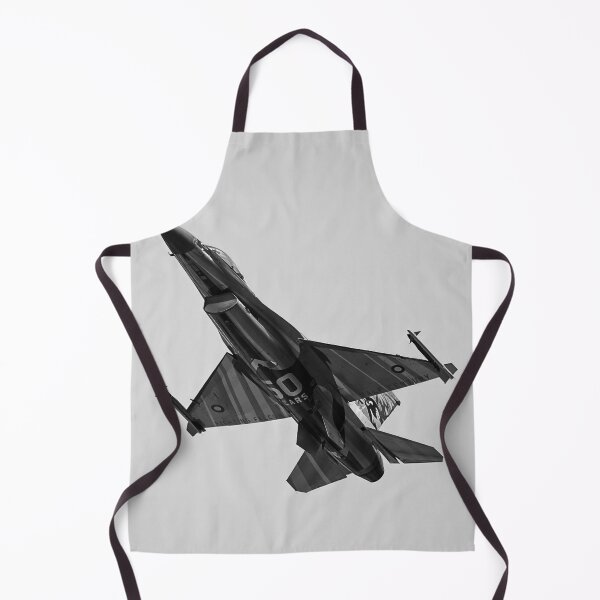Item preview, F-16 Fighting Falcon designed and sold by Skyframe Aviation.
