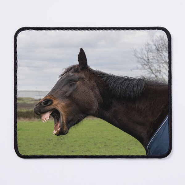 Item preview, Horse Yawning funny designed and sold by Shiralee Swan Photography.