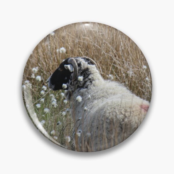 Item preview, Swaledale Ewes in Cotton Grass designed and sold by HAPhotography.