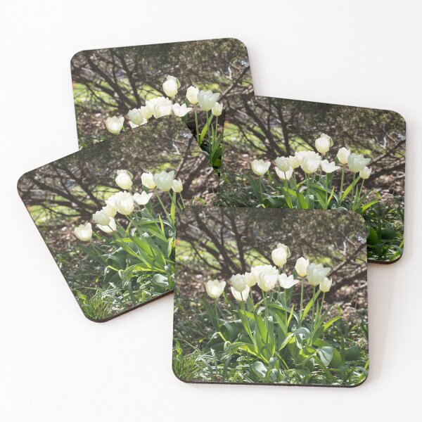Item preview, Focused on Glowing White Tulips designed and sold by Georgia Mizuleva.