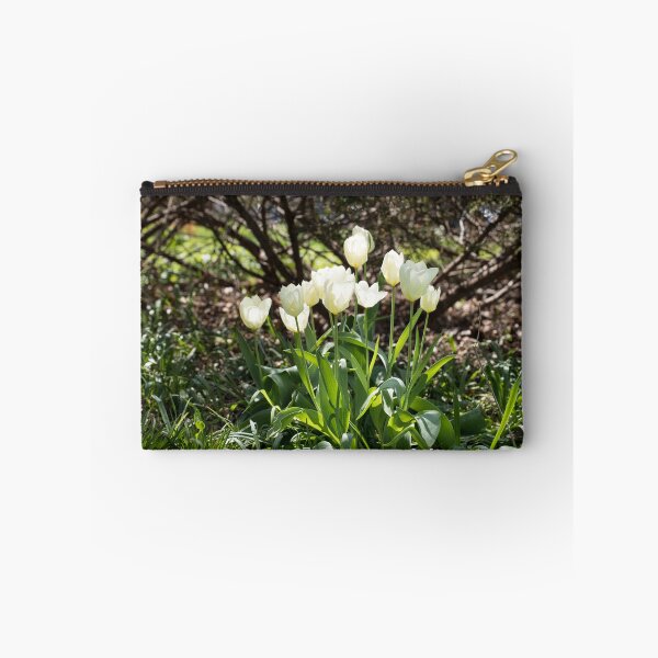 Item preview, Focused on Glowing White Tulips designed and sold by Georgia Mizuleva.