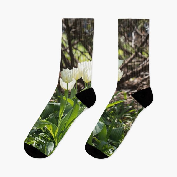 Item preview, Focused on Glowing White Tulips designed and sold by Georgia Mizuleva.