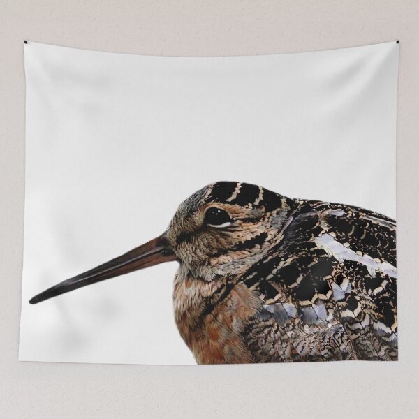Item preview, American Woodcock Bird designed and sold by PeakMind.