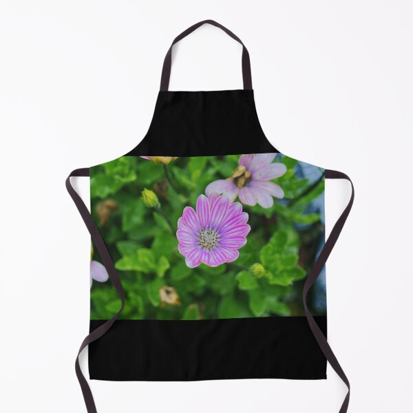 Item preview, Dimorphotheca Eckionis designed and sold by PicsByTony.